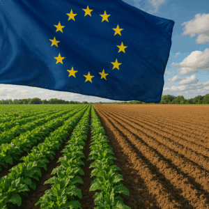 Wpływ zielonego ładu na polskie rolnictwo